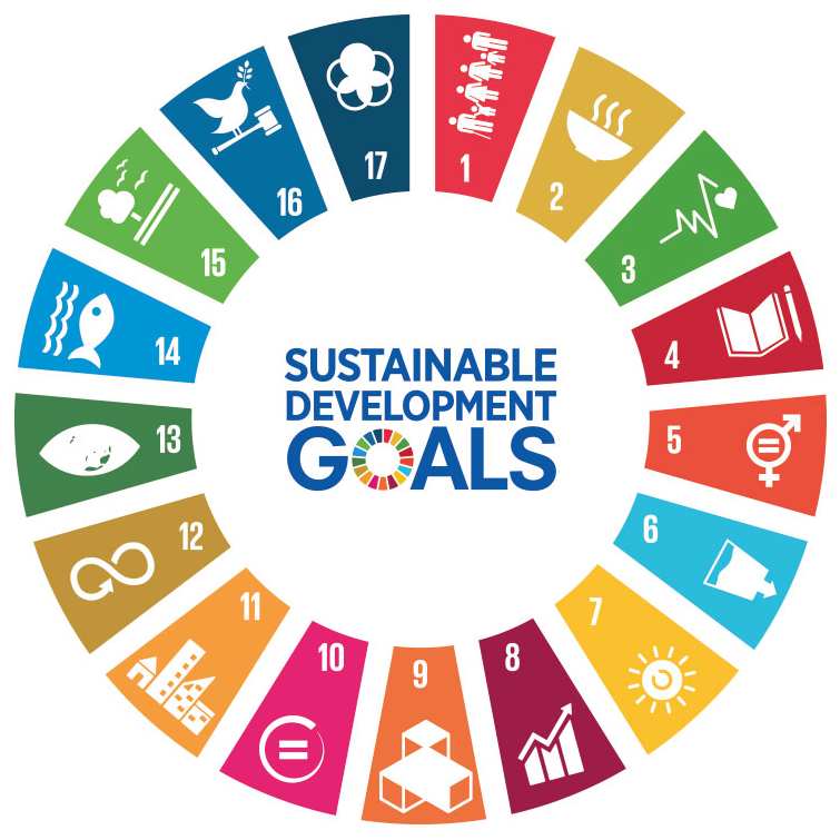 SDG wheel